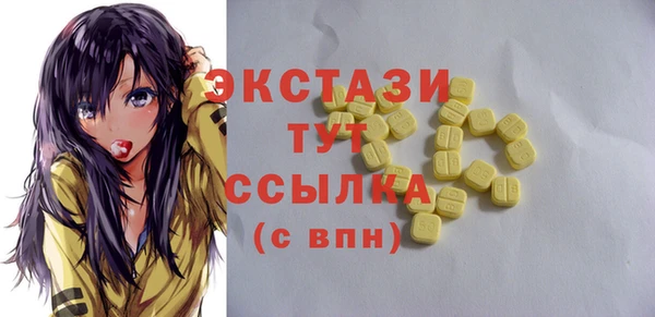 гашик Богородицк