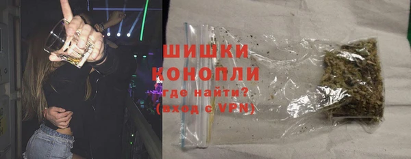 гашик Богородицк