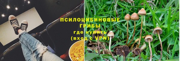 гашик Богородицк