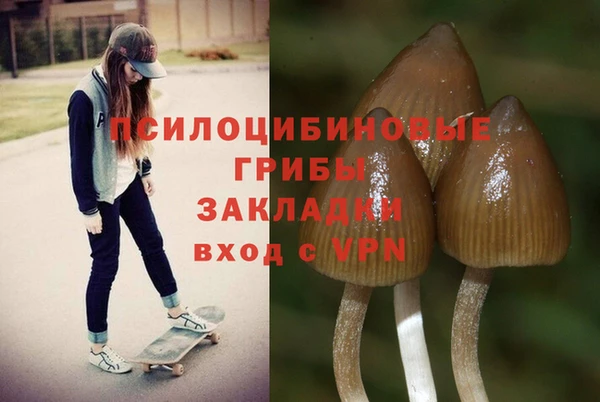 прущая мука Богородск